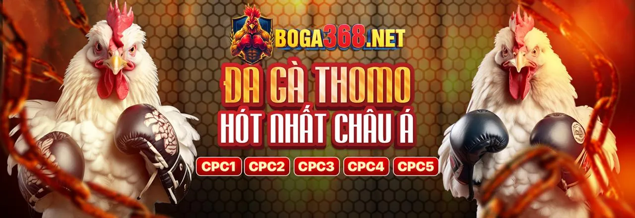 Cá cược quần vợt Grand Slam